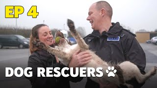 The Dog Rescuers Episode 4  Service Dogs  Full Documentary [upl. by Kariv]