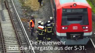 HamburgWilhelmsburg Mann vor SBahn gefallen 18112013 [upl. by Vasiliu799]