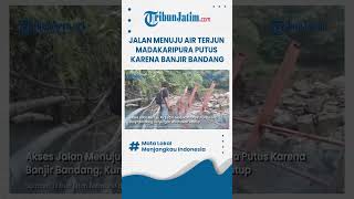 shorts BANJIR BANDANG AKSES PUTUS Jalan Menuju Air Terjun Madakaripura [upl. by Almira]