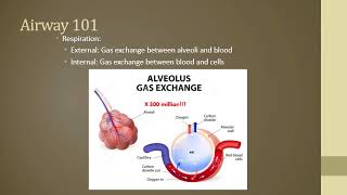 Airway 101 18 [upl. by Jandel]