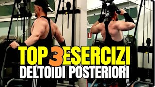 DELTOIDI POSTERIORI i 3 ESERCIZI migliori 🔴 Guida alle ALZATE POSTERIORI su PANCA [upl. by Otsirave]