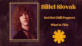 The Story of Hillel Slovak  Red Hot Chili Peppers [upl. by Marijo]