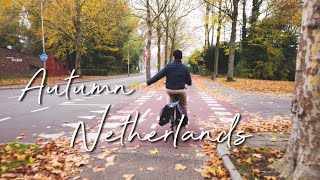 4K Netherlands Bike Tour in Autumn 🇳🇱 Delft  Things To Do in The Netherlands During Autumn [upl. by Talbott]