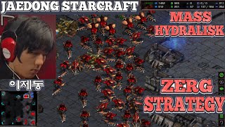 Starcraft JAEDONG vs IIIIIIIIIII2 ZvP SC Remastered Broodwar 2024 LADDER [upl. by Alac]