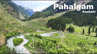 Pahalgam Kashmir  Aru Valley  Betaab Valley  Chandanwari  Kashmir Tourism  Manish Solanki Vlogs [upl. by Eiramanad]