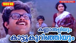 കണ്ണാന്തളിയും കാട്ടൂകുറിഞ്ഞിയും  Anubandham  Malayalam Film Song  Mammootty [upl. by Ynnav65]