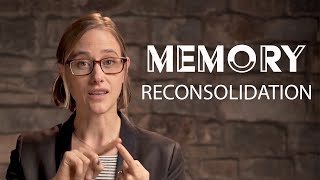 Memory Reconsolidation How to Rewire Our Brain  Chapter 4 [upl. by Accissej]