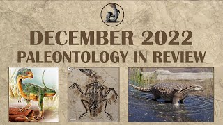 New Fossils and Finds of Dec 2022 [upl. by Rafter]