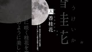 【儚くて切ない美麗な四字熟語】 shorts [upl. by Aracaj]