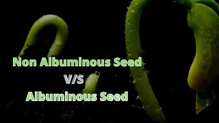 DIFFERENCE BETWEEN NON ALBUMINOUS SEED AND ALBUMINOUS SEED HINDI [upl. by Atteynot]