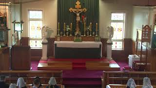 SSPXNZLIVE  Sixth Sunday after Pentecost  30th June  Sung Mass [upl. by Kassity]