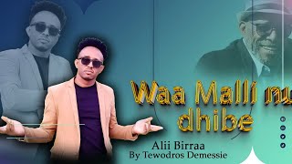 Waa MalliiAlii birraas Old Song By Tewodros Demessie  New 2016 Music Vedio [upl. by Aloeda]