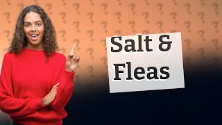 Can I put salt directly on my dog to kill fleas [upl. by Etteb181]