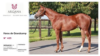 Arqana 202410 sale  N° 425 F  Toronado x Mowaajahat présentée par le Haras De Grandcamp [upl. by Yatnod]