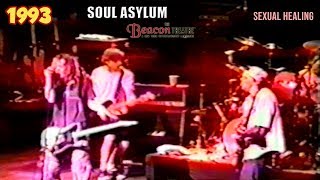 Soul Asylum  Sexual Healing live at the Beacon Theatre [upl. by Artus]