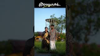 Malayalam onam songs  dj onam special  vlog  reels  onashamsakal  happy onam youtubeshorts [upl. by Michiko]