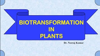 Biotransformation in plants  Plant biotechnology [upl. by Yttig426]