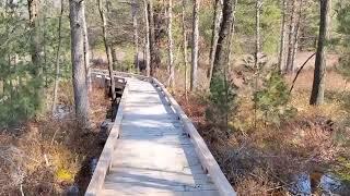 Hiking the North Country Trail Echo drive loop White Cloud Michigan [upl. by Vivian]