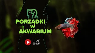 AkwaLive porządki LIVE 108 [upl. by Penoyer]