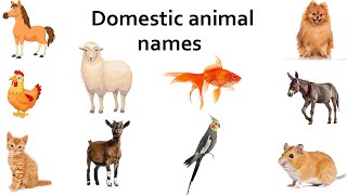 Domestic Animals names ll Domestic Animals Name In English With Pictures [upl. by Akeemat]