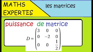 Terminale Maths Expertes Les matrices  exercice  puissance dune matrice [upl. by Ahsiaa]