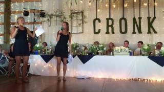 Cronk Wedding Maid Of Honor Speech [upl. by Reivilo732]