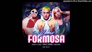 Kaio Viana Ft Bad Gyal Totoy El Frio  Formosa Remix [upl. by Mcleroy]