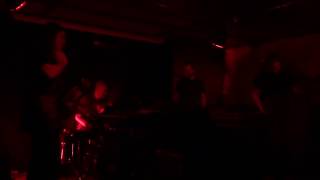 sir Was  In the midst  Live  Clubheim im Schanzenpark Hamburg  042017 [upl. by Miles]