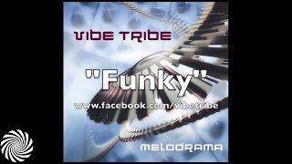 Vibe Tribe  Funky [upl. by Kirby]