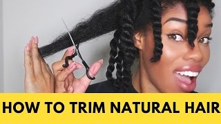 How to Trim Natural Hair [upl. by Kaenel669]