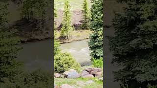 UNCOMPAHGRE National Forest River Telluride CO UNCOMPAHGREnationalForest [upl. by Hamilton]