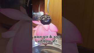 shaligram ji ki singer Krishna mantra TV GH Pitambar Nimai Das [upl. by Oisorbma]