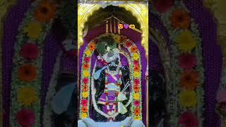 Shri Ranchhodraiji live Darshan Dakor Temple [upl. by Aeirdna]