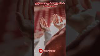 அதிகம் அல்லாஹ்விடம் கேளுங்கள் 🤲🤲 Asheik Aadhil Hasanislamicstatus shorts [upl. by Halley]