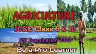 Agriculture  ICSE Class 6 Geography  ICSE Class 10 Geography  Part 1 [upl. by Kass]