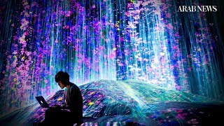 Tokyo digital art museum looks to expand the beautiful [upl. by Enimajneb]