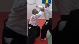 Aikido technique TENCHINAGE against grab and strike attacks by Stefan Stenudd [upl. by Notxarb]