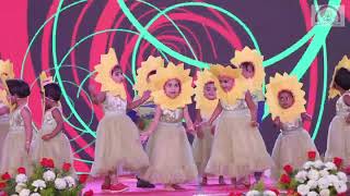 Sunflower Dance Play school [upl. by Bleier339]