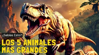 los 5 animales mas GRANDES de todos los tiempos [upl. by Helas]