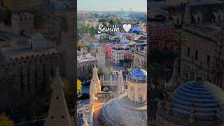 View from Giralda tower in sevilla spain travel spaintravel shorts shortsfeed europe indian [upl. by Chrissie]