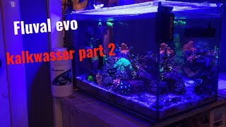 Fluval evo 135 mixed reef kalkwasser part 2 [upl. by Mcnutt887]