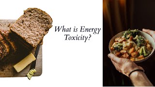 The Most Common Mistake Ex Vegans Make Energy Toxicity [upl. by Lourie]