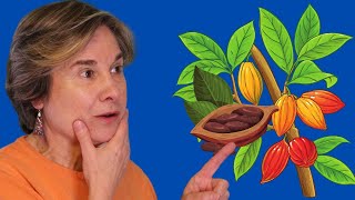 Descubre los Secretos del Árbol de Cacao Origen del Chocolate [upl. by Andriana]