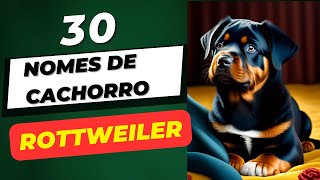 Nomes de cachorro ROTTWEILER [upl. by Brenner263]