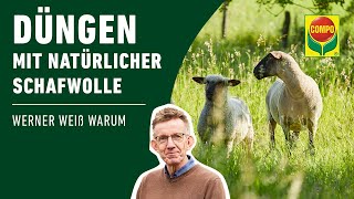 Welche Eigenschaften hat ein Schafwolldünger  COMPO [upl. by Oizirbaf]