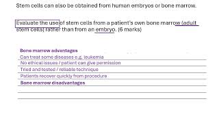 Stem cells 1 6 mark question [upl. by Gershon]