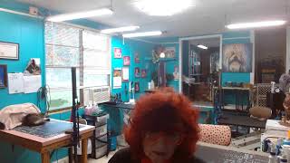 Watch daily as our dog groomers wash snip amp style your fur babies Barbaras Small Breed Pet Salon [upl. by Oos]