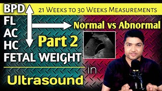 A Comprehensive Guide to Fetal Ultrasound BPD FL AC and Weight Measurements by Dr Ali Waqar [upl. by Zeitler]