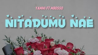 Yammi Ft Mbosso  Nitadumu nae Lyrics Video [upl. by Ecneps]