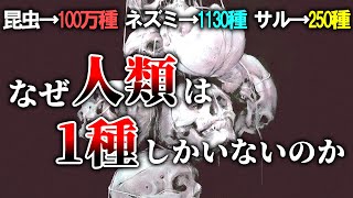 【普通は複数種いる】ヒト科ヒト属の生物が1種しかいない理由【ゆっくり解説】【雑学】 [upl. by Azarcon]